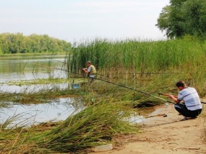 прогноз ловля саратов прогноз ловля саратов