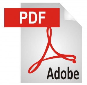 Файл в PDF